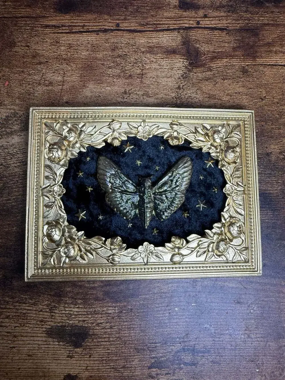 Handmade Deathmoth gold framed on black velvet with gold stars